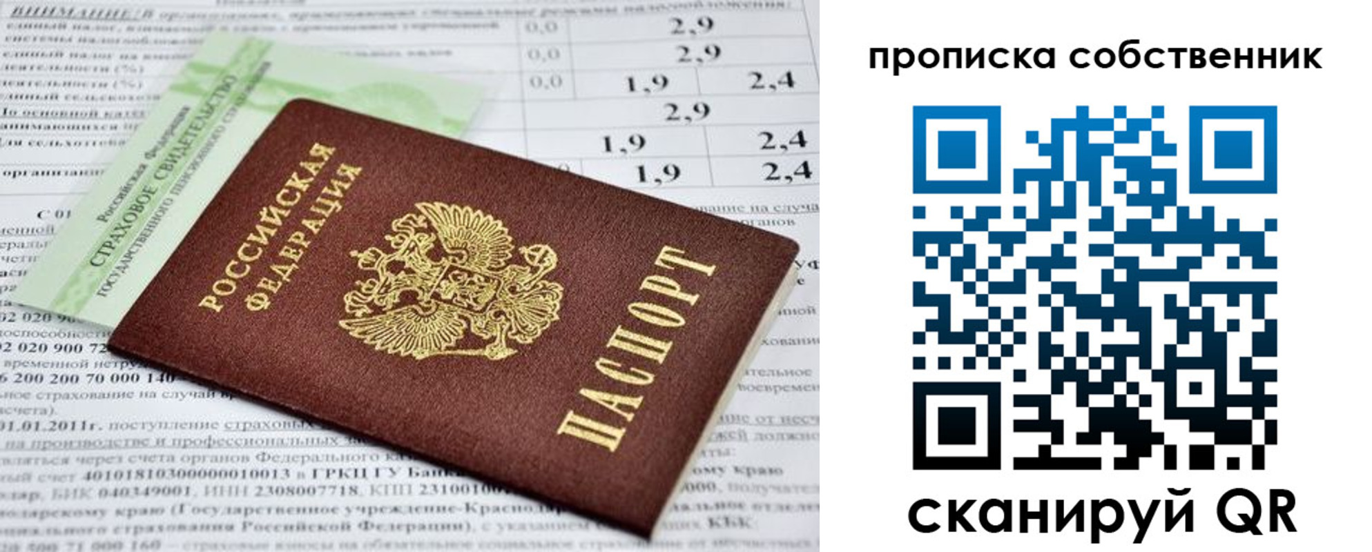 прописка 2025 в Краснознаменске